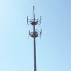 Professionele Telecommunicatietorens, de Vermomde Toren van de Pijnboomboom