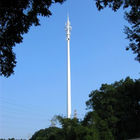 Professionele Telecommunicatietorens, de Vermomde Toren van de Pijnboomboom